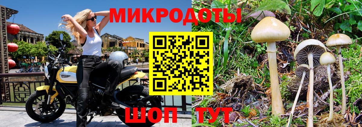 Галлюциногенные грибы прущие грибы Южноуральск