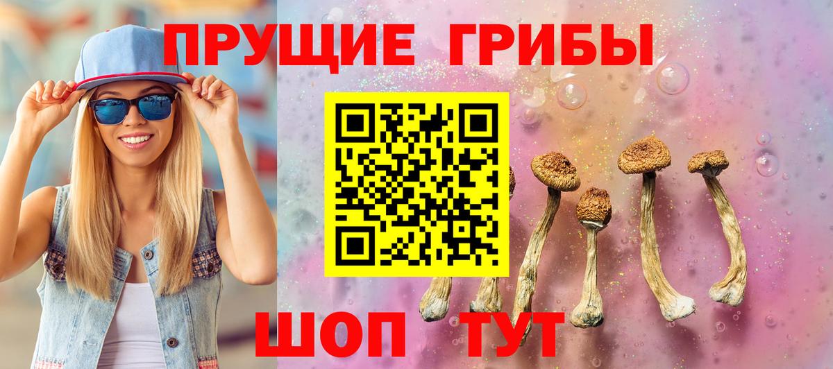 Южноуральск  Псилоцибиновые грибы Psilocybine cubensis  Вход с VPN 